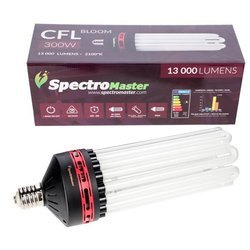 Spectromaster 300W - 8U - 2100°K Blüte